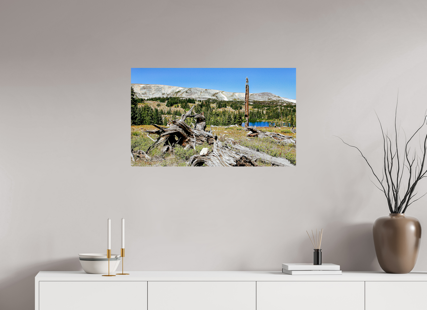 Standing Bear Tree – Bear Lake, Colorado