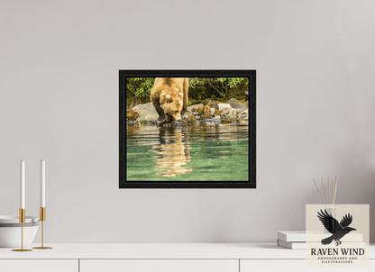 14.2 x 12″, Floater Frame - black oak frame - ready to hang A Closer Look Nature Photography Print