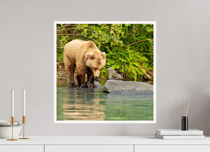 That's a miss! Nature Photography Print