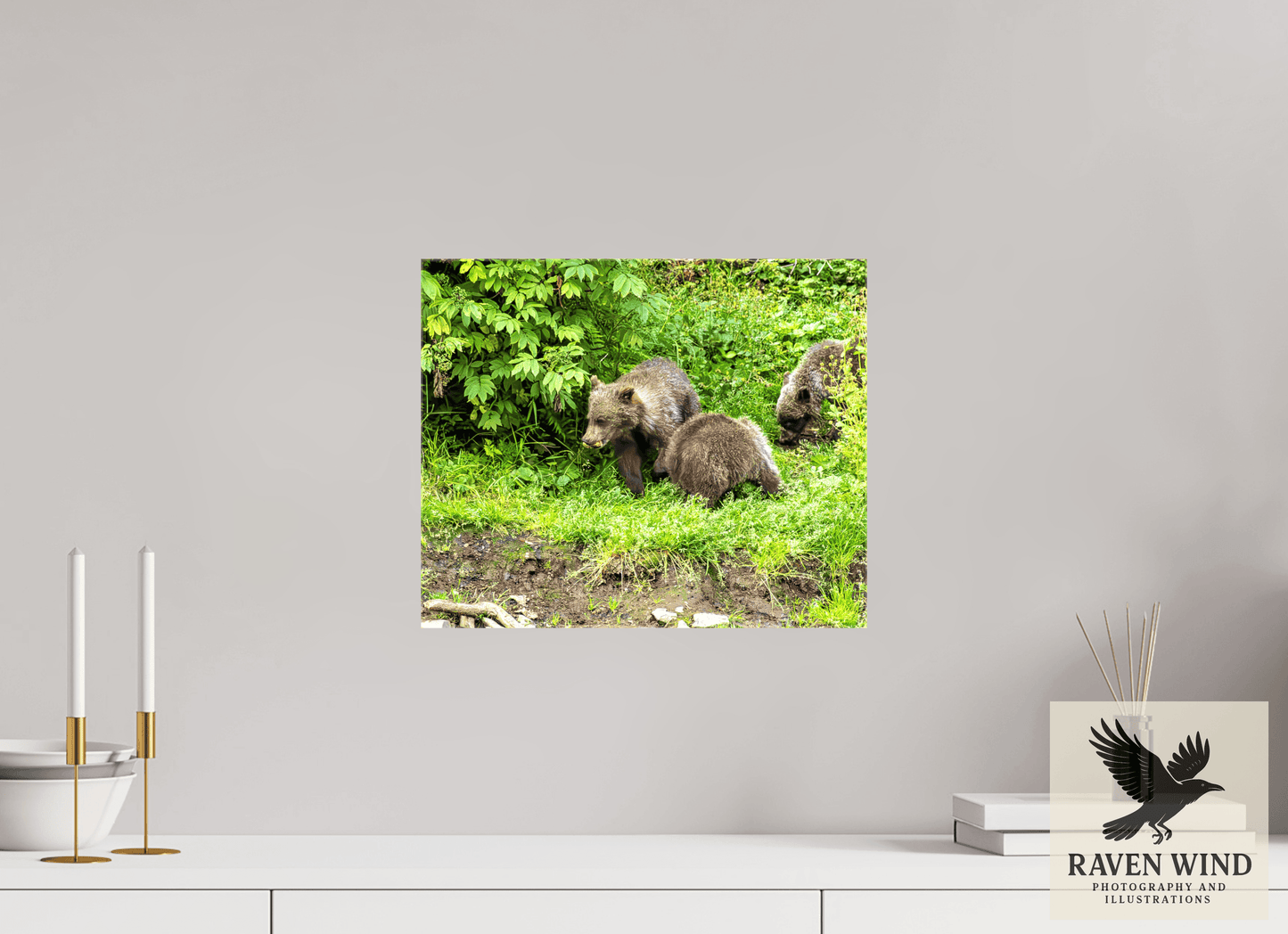 14.6 x 12″, Print on Canvas - ready to hang or set on a shelf Brown Bear Triplets Nature Photography Print