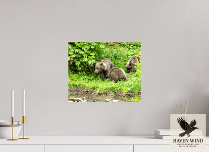 14.6 x 12″, Print on Canvas - ready to hang or set on a shelf Brown Bear Triplets Nature Photography Print