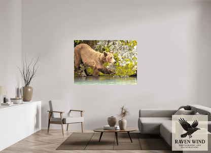 61.1 x 43″, Print on Canvas - ready to hang or set on a shelf Momma on a Mission Nature Photography Print