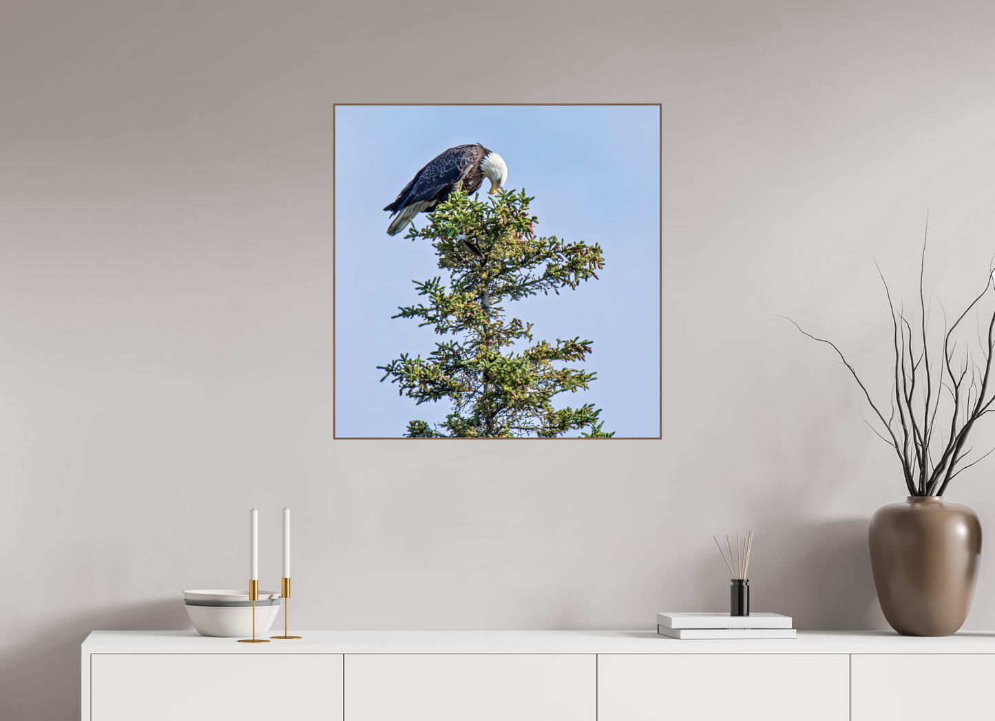 Silent Sentinel – Bald Eagle in Alaska’s Pines Nature Photography Print