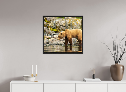 Looking for Dinner Nature Photography Print