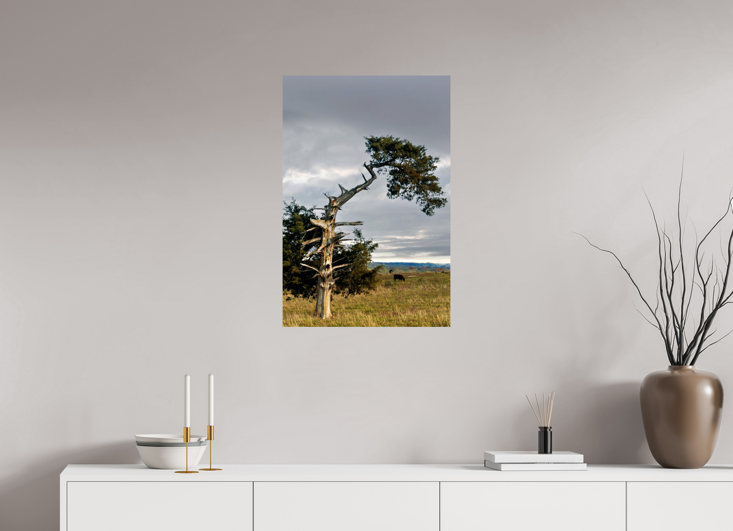 Still Standing - The Cedar That Weathered It All