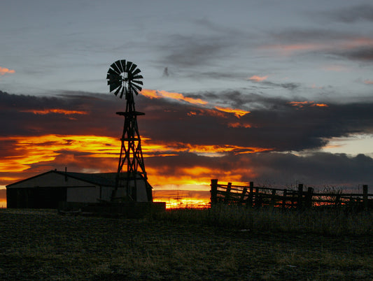 Sunset Sentinel