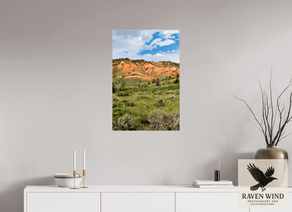 20 x 30″, ChromaLuxe HD Metal Print - ready to hang Salmon Hills Nature Photography Print