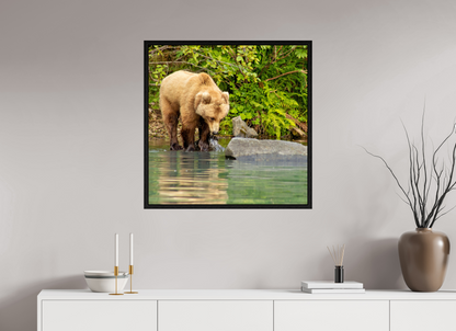 That's a miss! Nature Photography Print