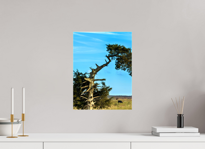 12 x 16″, Print on Canvas Still Standing and Reaching for the Sky Nature Photography Print