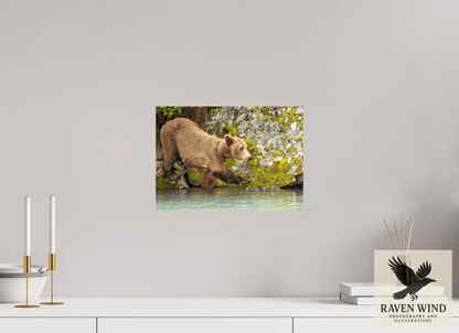 14.2 x 10″, Fine Art Print on Pearl Texture - unframed (email for frame options) Momma on a Mission Nature Photography Print