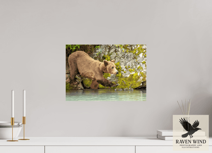 17 x 12″, Photo Print On Fuji Crystal DP II - unframed Momma on a Mission Nature Photography Print