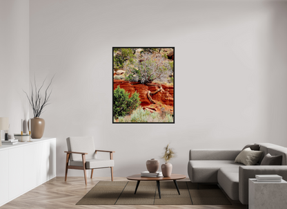 Resilient Roots – Twisted Tree in Red Rock Desert Fine Art Print