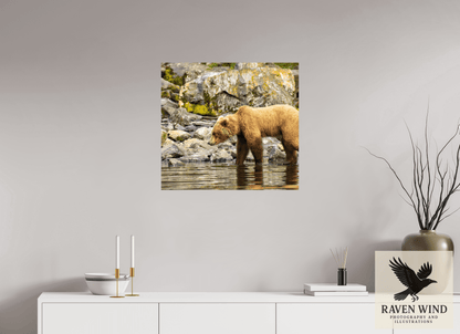 26 x 24″, ChromaLuxe HD Metal Print - ready to hang Looking for Dinner Nature Photography Print