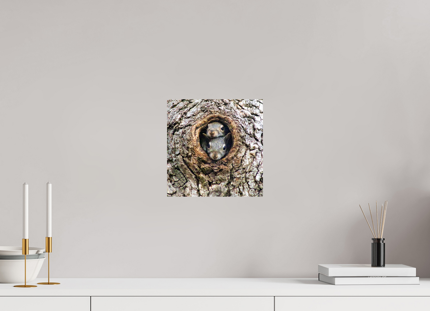 Curious Peek Nature Photography Print