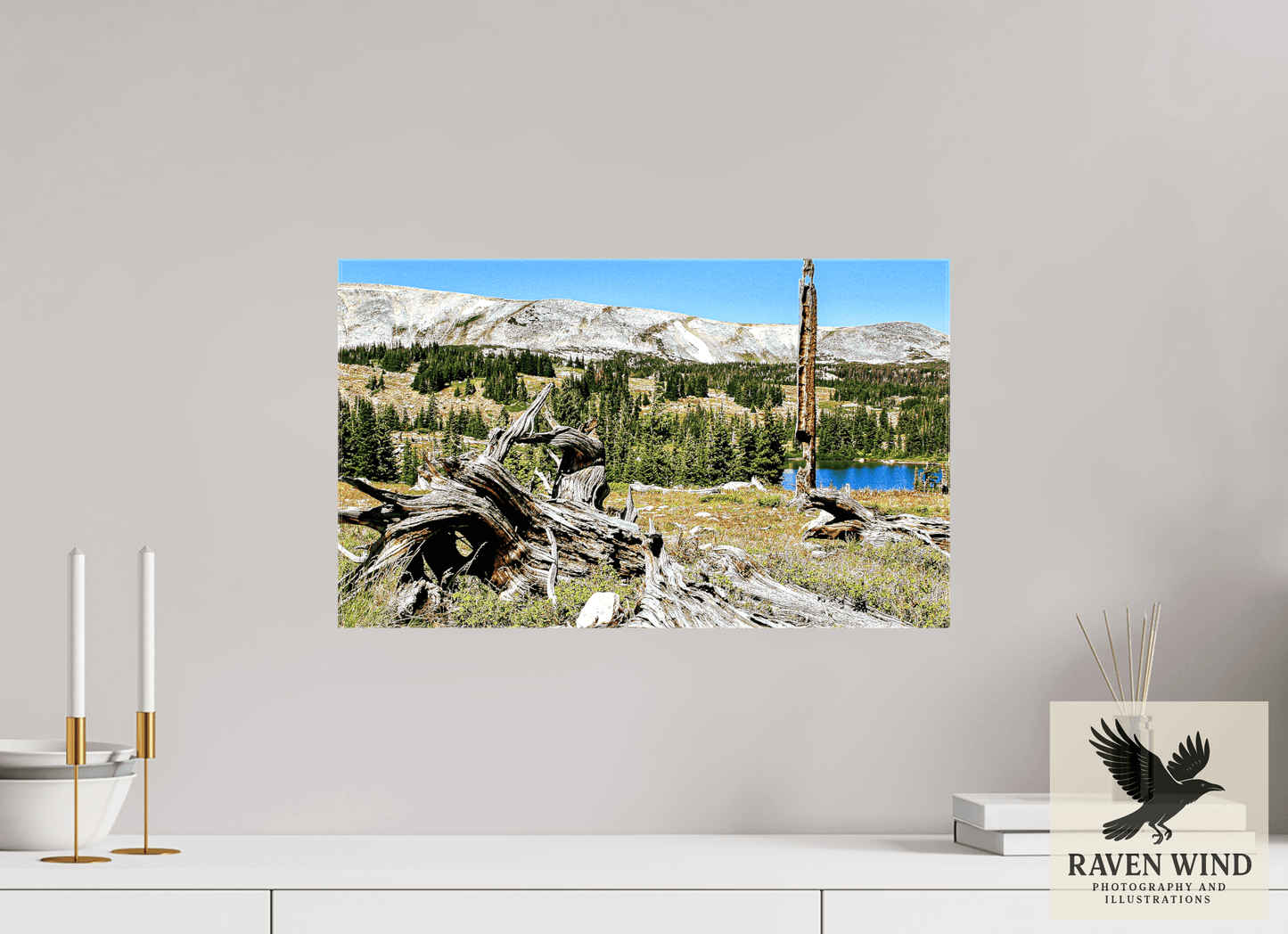 20.1 x 12″, Print on Canvas - ready to hang or set on a shelf Standing Bear Tree - Bear Lake, Colorado Nature Photography Print