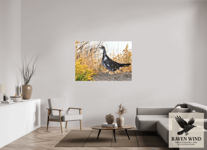 55.7 x 39″, Print on Canvas - ready to hang or set on a shelf Grounded Grace - a Wild Grouse Nature Photography Print