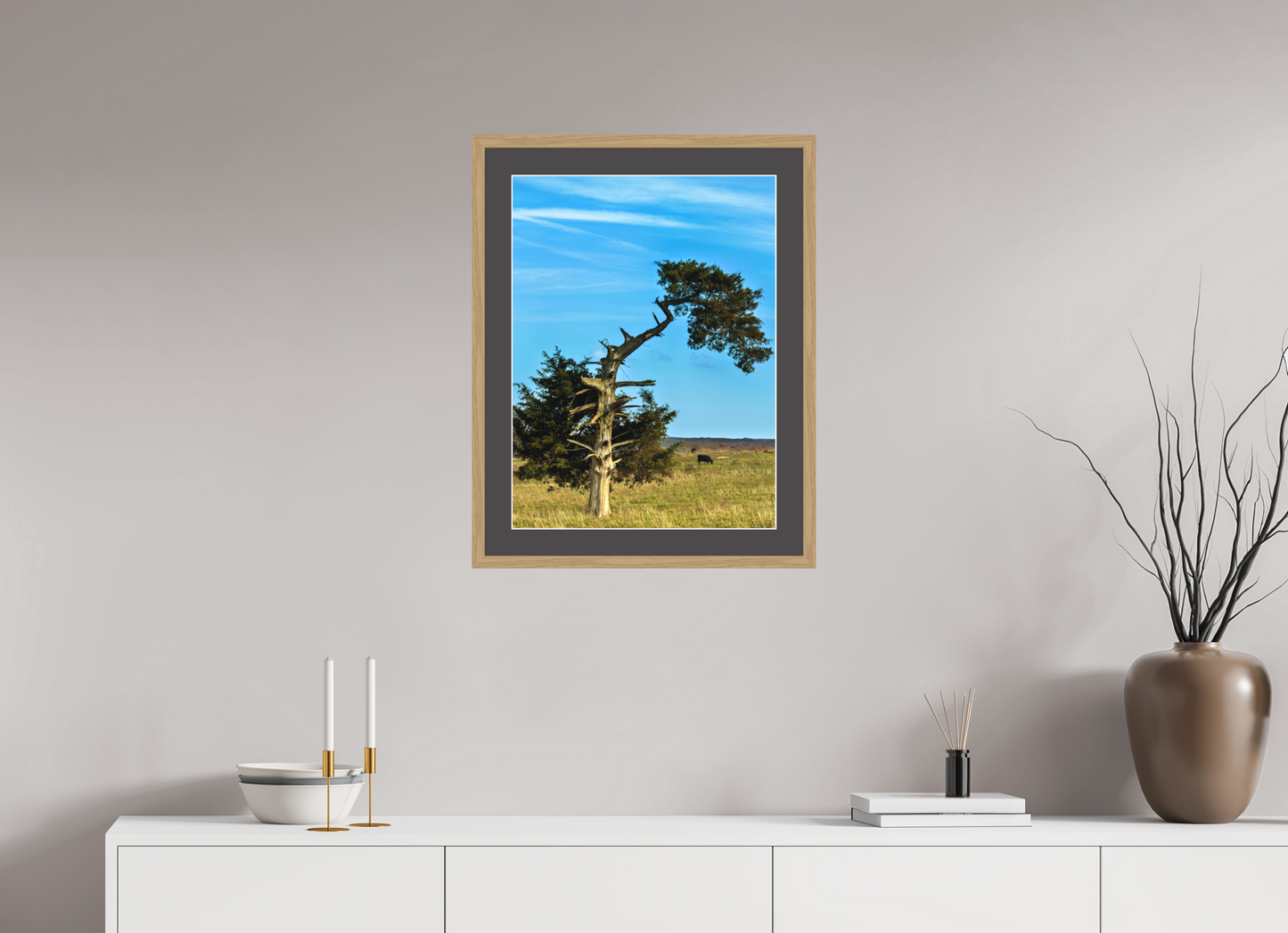 Still Standing – The Cedar That Reached for the Sky