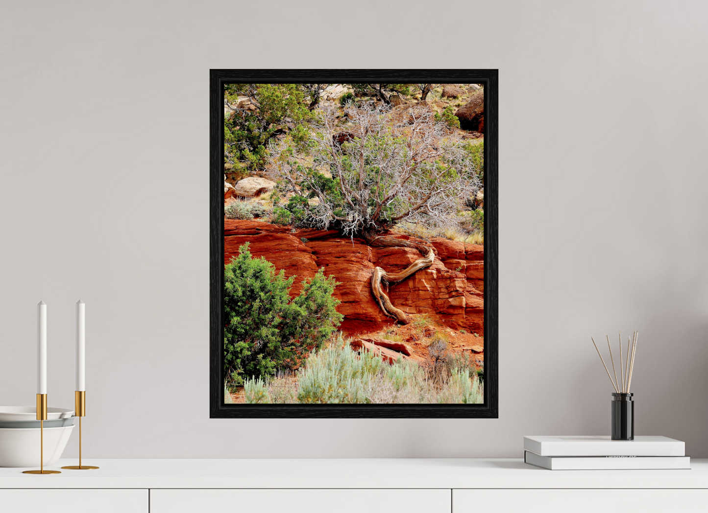 Resilient Roots – Twisted Tree in Red Rock Desert Fine Art Print