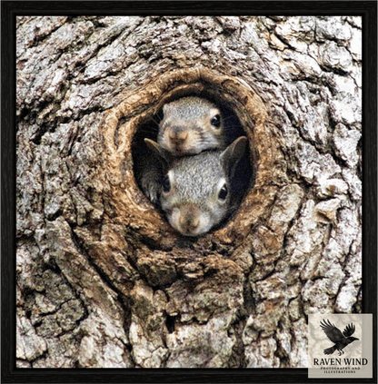 A nature photography print of two squirrels peeking out from a hole in a tree trunk.