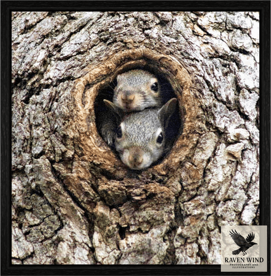 A nature photography print of two squirrels peeking out from a hole in a tree trunk.
