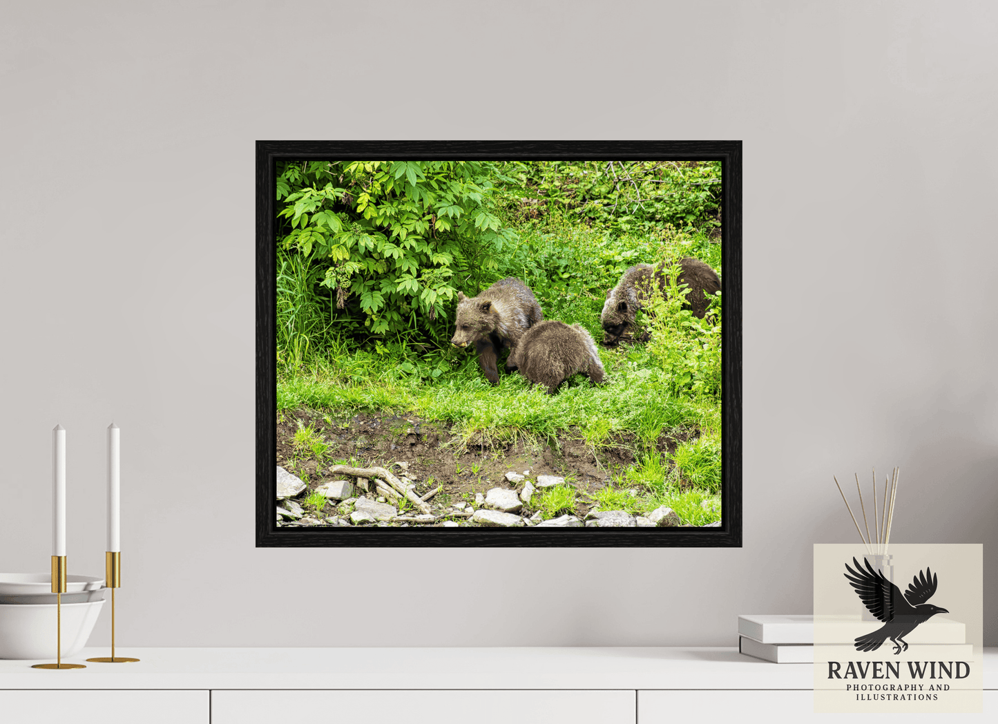 19.4 x 16″, Floater Frame - black oak frame - ready to hang Brown Bear Triplets Nature Photography Print