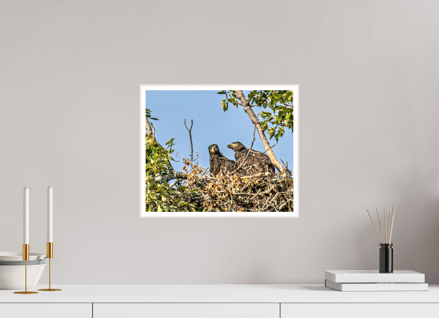 Nestmates – Young Eagles in a Woodland Home – Nature Photography Print