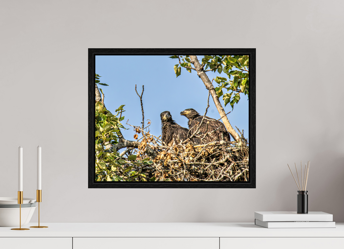 Nestmates – Young Eagles in a Woodland Home – Nature Photography Print