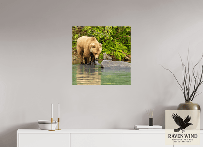 25 x 25″, Photo Print Under Acrylic Glass - ready to hang That's a miss! Nature Photography Print