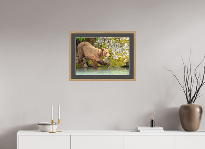 Momma on a Mission Nature Photography Print