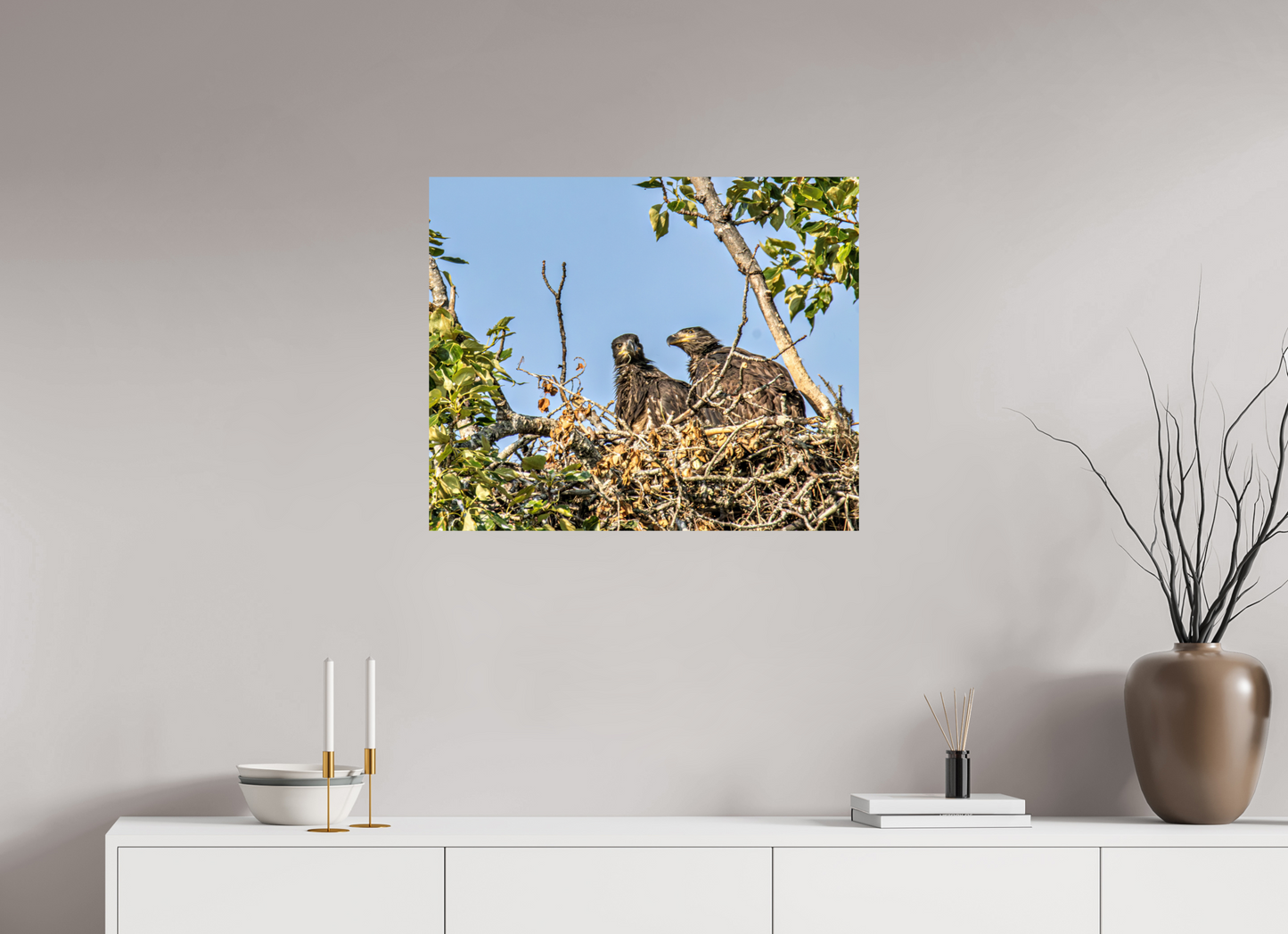 Nestmates – Young Eagles in a Woodland Home – Nature Photography Print