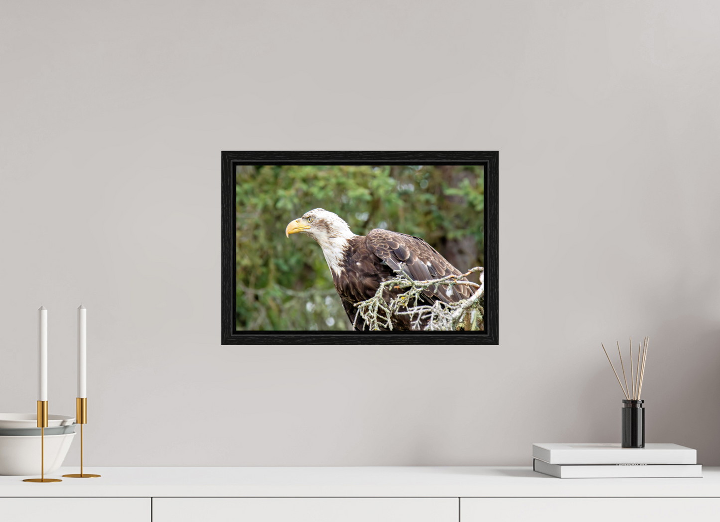 Majestic Watch – Bald Eagle on the Kenai Peninsula Nature Photography Print