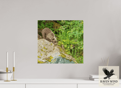 16.9 x 16″, Photo Print On Fuji Crystal DP II - unframed Learning the Ropes Nature Photography Print