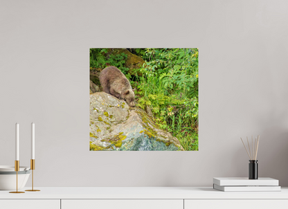 Learning the Ropes Nature Photography Print
