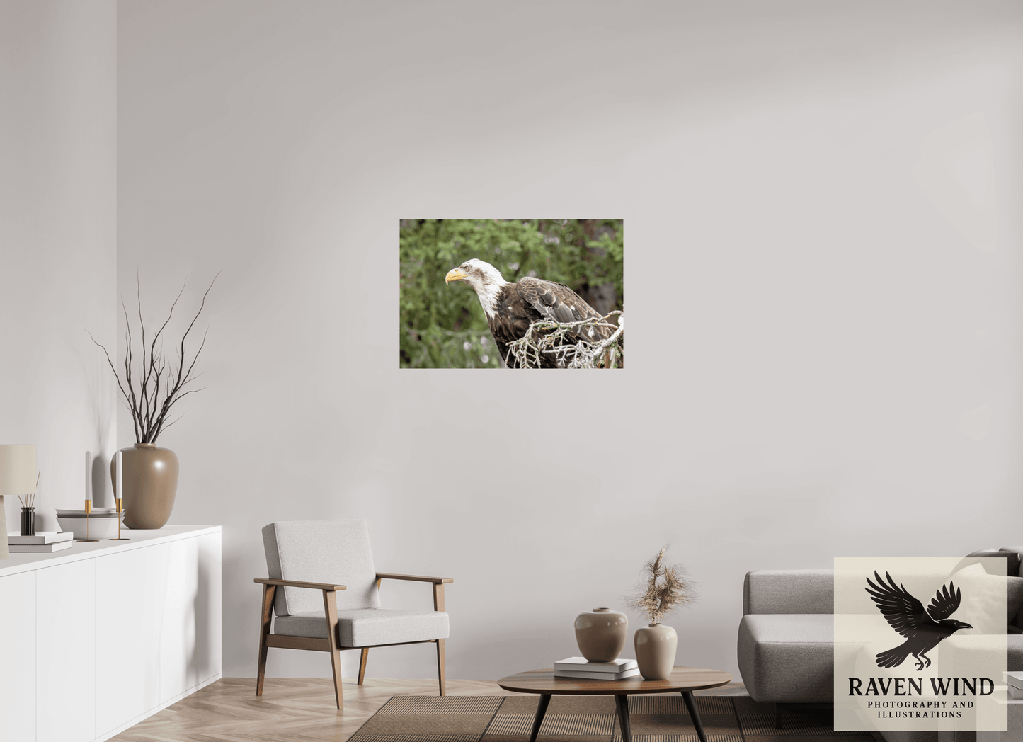 36 x 24″, Photo Print On Fuji Crystal DP II - unframed Majestic Watch - Bald Eagle on the Kenai Nature Photography Print