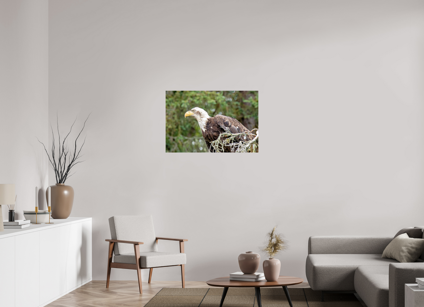 Majestic Watch – Bald Eagle on the Kenai Peninsula Nature Photography Print