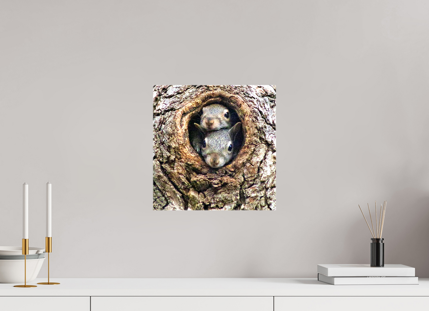 Curious Peek Nature Photography Print