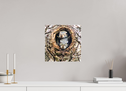 Curious Peek Nature Photography Print