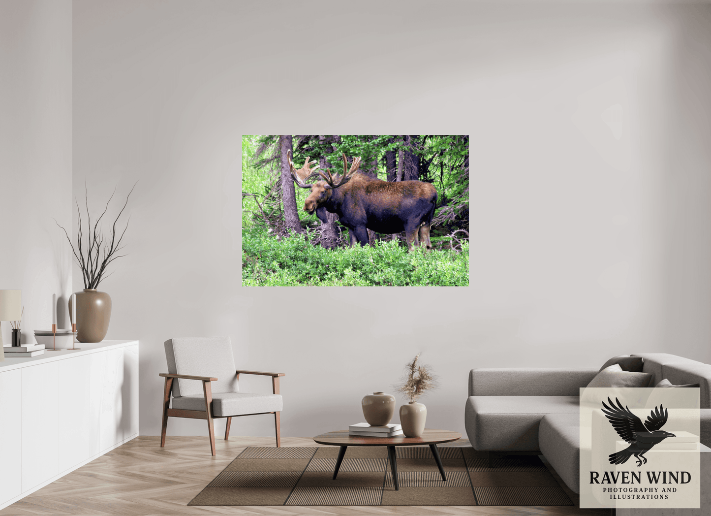 66 x 44″, Photo Print Under Acrylic Glass - ready to hang Watchful Moose Nature Photography Print
