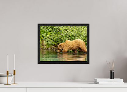 Fishing Takes Patience Nature Photography Print