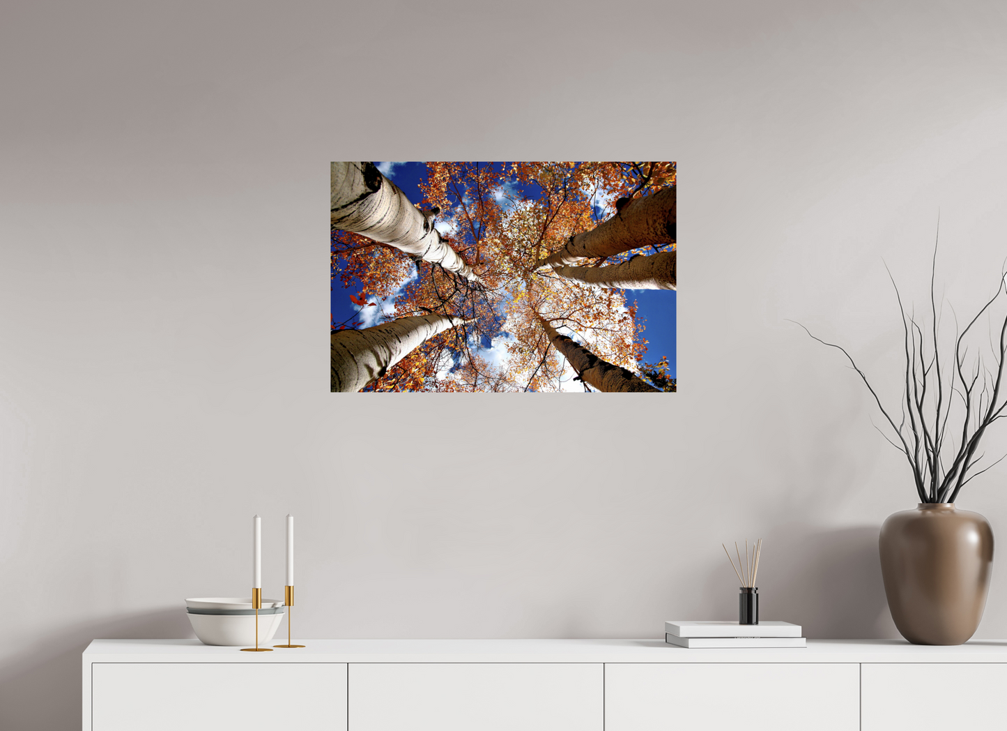 Reaching for the Sky – Where Aspens Whisper to the Clouds Nature Photography Print