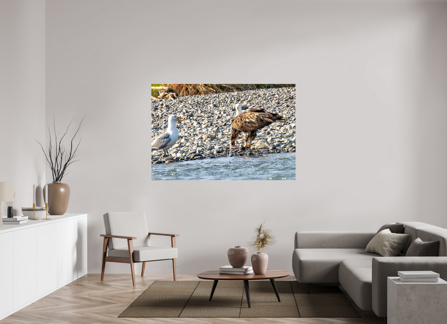 Mine? Mine? – Bald Eagle and Seagull Shoreline Standoff Nature Photography Print