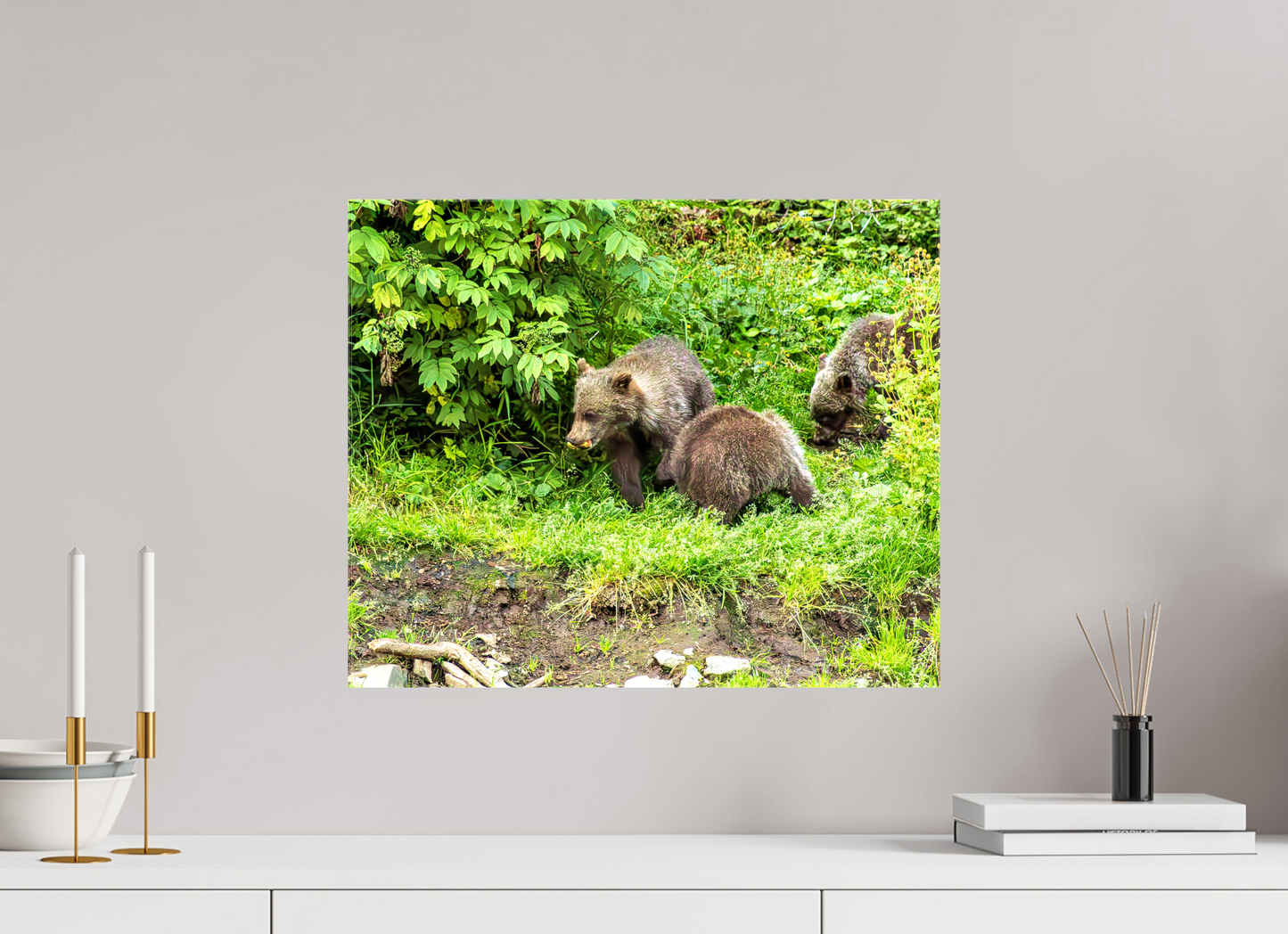 Brown Bear Triplets