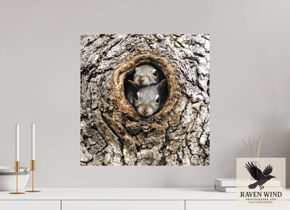 20 x 20.4″, Fine Art Print on Photo Rag Baryta - unframed (email for frame options) Curious Peek Nature Photography Print