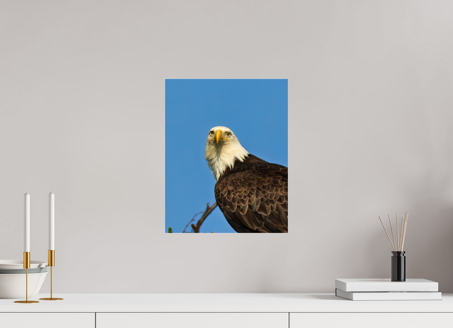 Eyes of the Wild – Bald Eagle in Alaska’s Wilderness Nature Photography Print