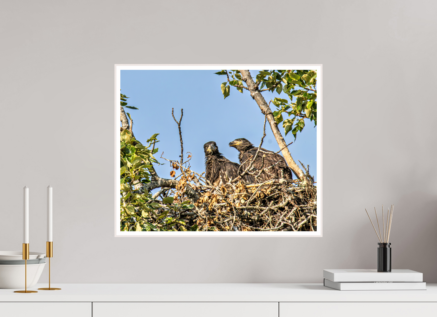 Nestmates – Young Eagles in a Woodland Home – Nature Photography Print