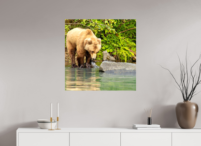 That's a miss! Nature Photography Print