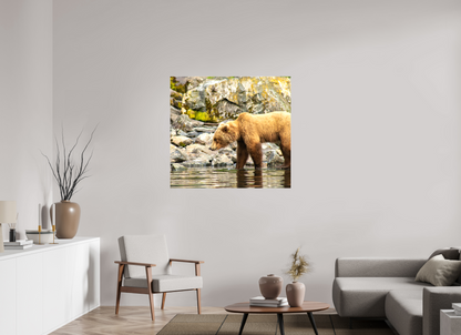 Looking for Dinner Nature Photography Print