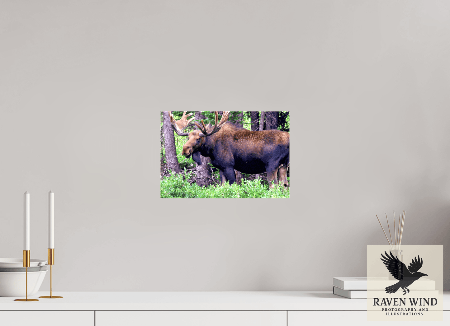 12 x 8″, Print on Canvas - ready to hang or set on a shelf Watchful Moose Nature Photography Print