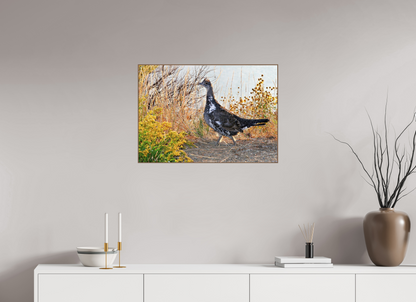 Grounded Grace – Fine Art Print of a Wild Grouse