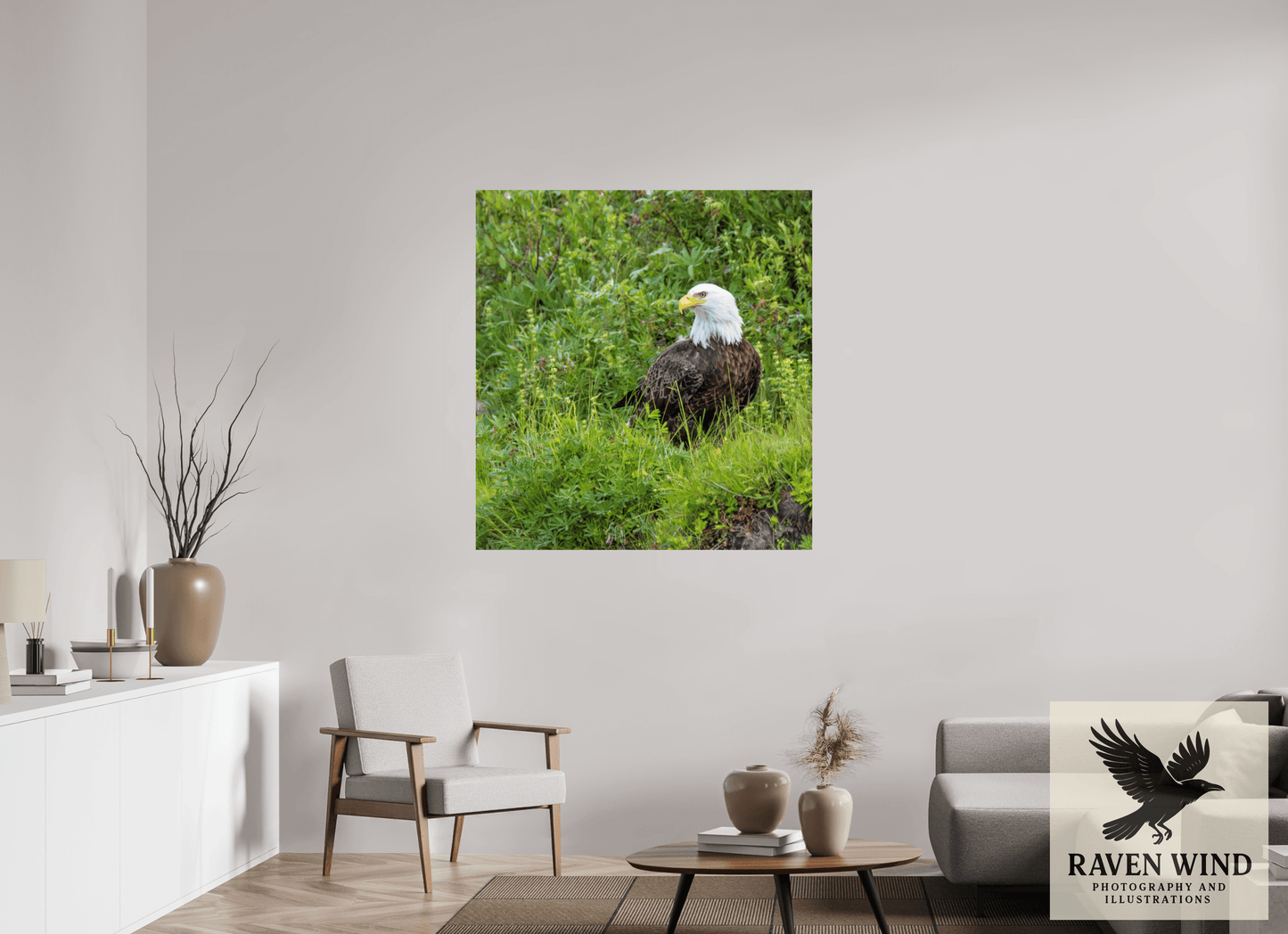 43 x 46″, Photo Print On Fuji Crystal DP II - unframed Grounded Majesty - Alaskan Bald Eagle Nature Photography Print